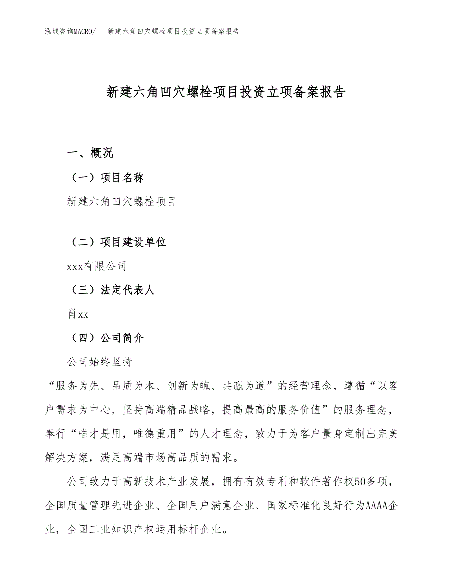 新建六角凹穴螺栓项目投资立项备案报告(项目立项).docx_第1页