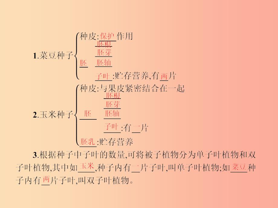 八年级生物上册第四单元第一章第三节果实与种子的形成第2课时种子的结构课件新版济南版_第2页