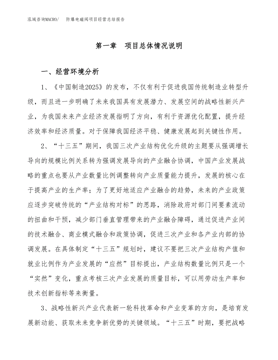 防爆电磁阀项目经营总结报告范文模板.docx_第2页