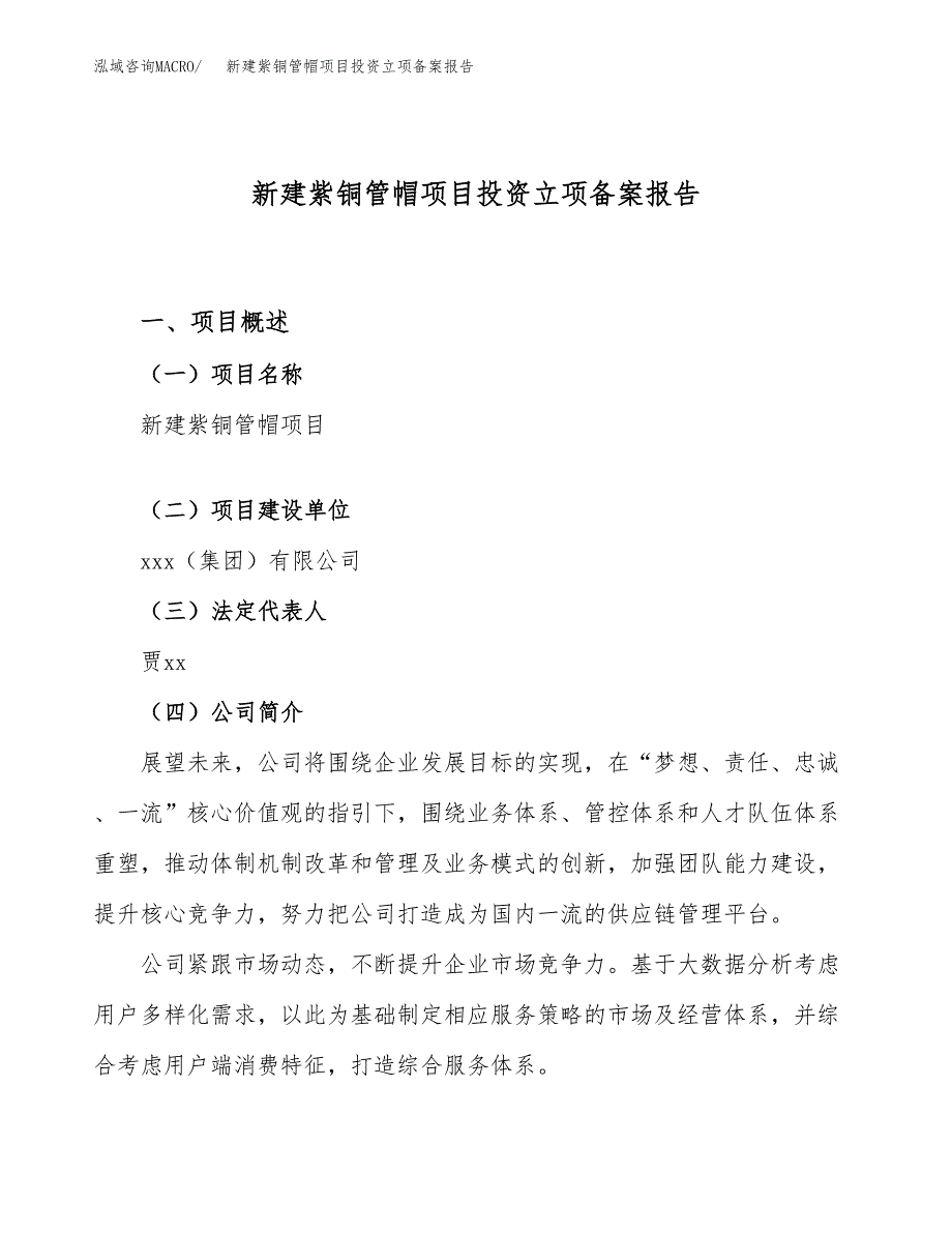 新建紫铜管帽项目投资立项备案报告(项目立项).docx_第1页