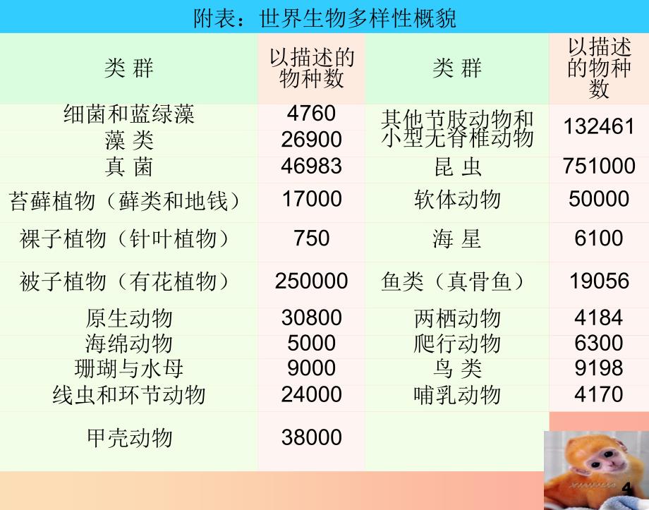 八年级生物上册 6.3保护生物的多样性课件新人教版_第4页