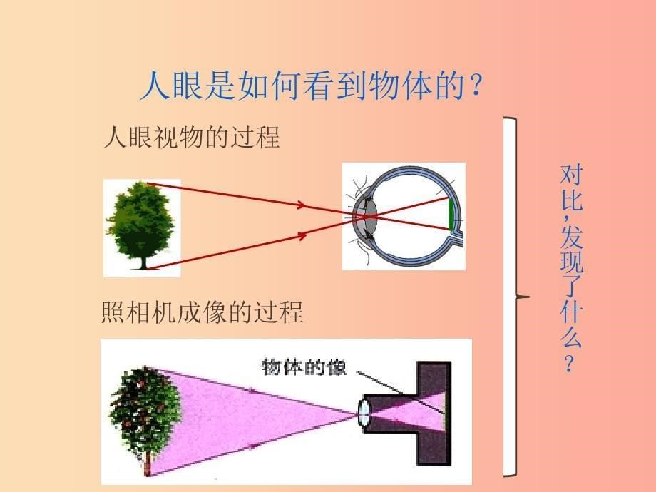 2019年八年级物理上册第五章第4节眼睛和眼镜教学课件 新人教版_第5页