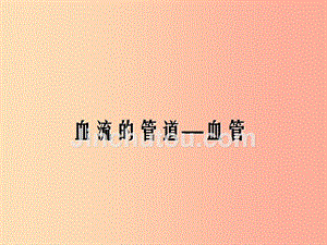 安徽省七年级生物下册4.4.2血流的管道_血管课件1 新人教版