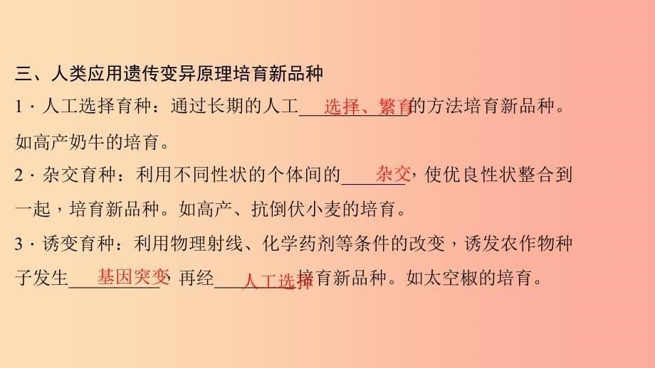 八年级生物下册 第七单元 第二章 第五节 生物的变异习题课件新人教版_第5页