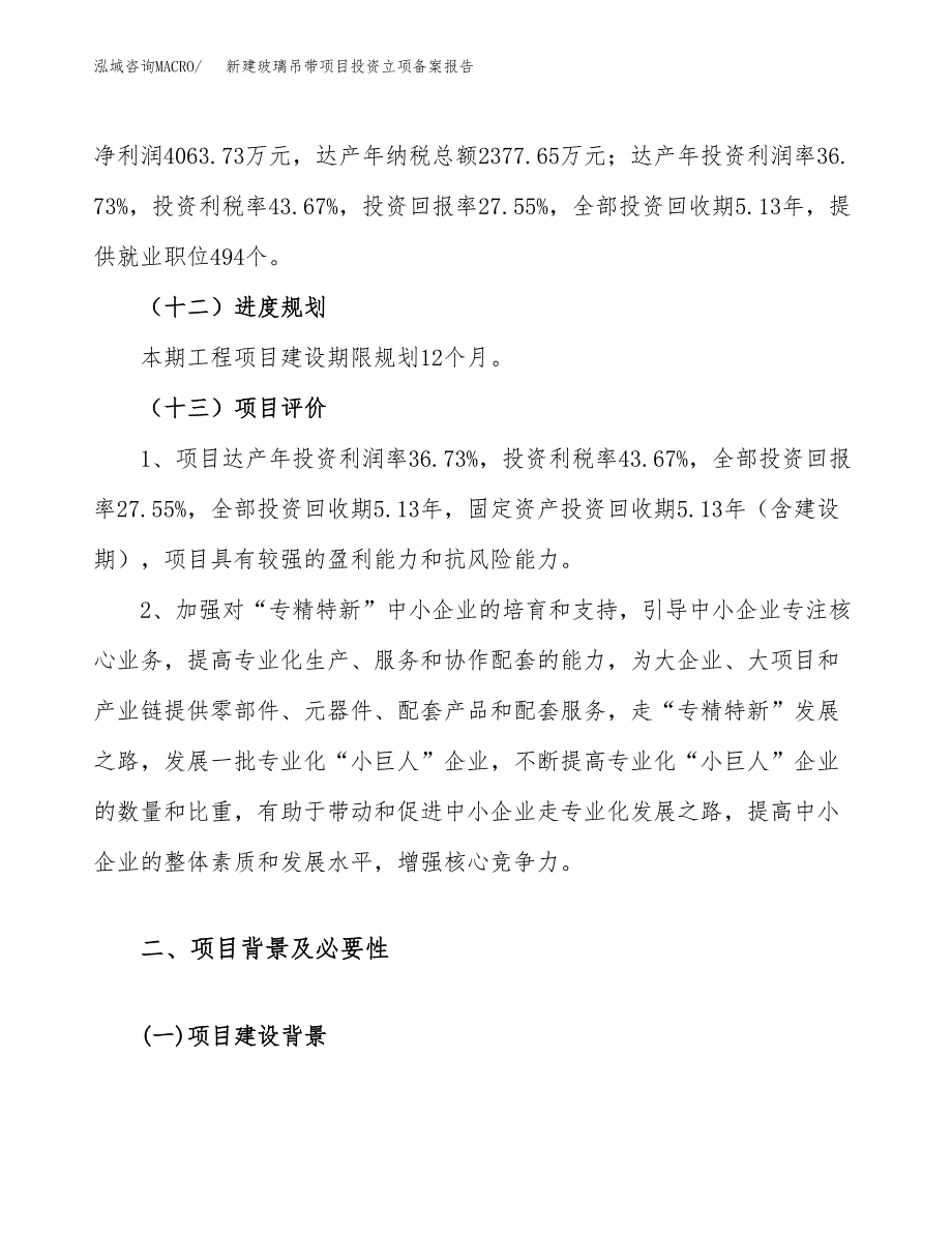 新建玻璃吊带项目投资立项备案报告(项目立项).docx_第4页