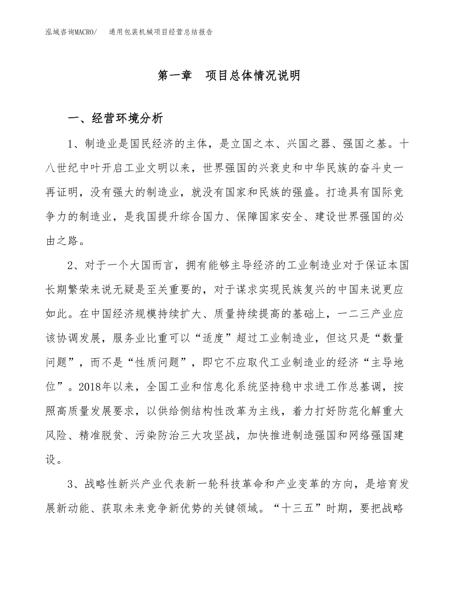 通用包装机械项目经营总结报告范文模板.docx_第2页