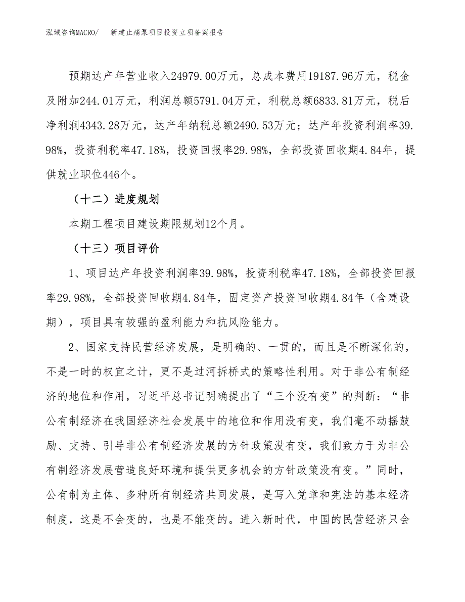 新建止痛泵项目投资立项备案报告(项目立项).docx_第4页