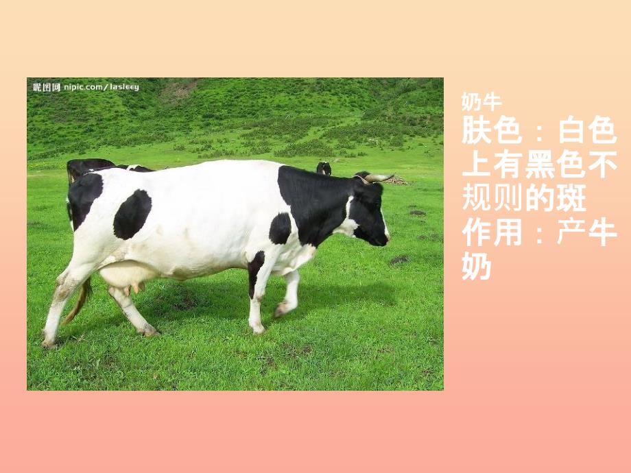 一年级美术下册第17课大牛和小牛课件3浙美版_第4页