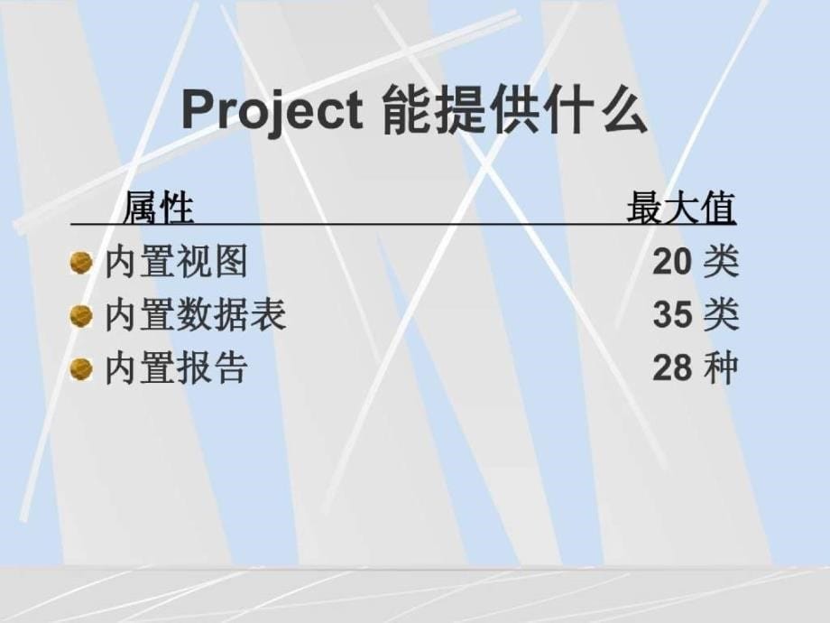 project 2000 與 it專案管理_第5页