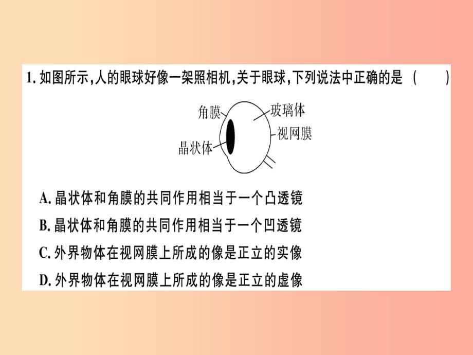 （广东专用）2019年八年级物理上册 第五章 第4节 眼睛和眼镜8分钟小练习课件新人教版_第1页