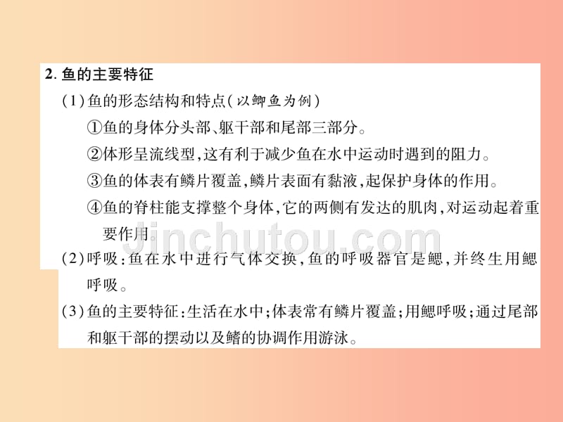 2019年八年级生物上册 第5单元 第1章 第4节 鱼练习课件新人教版_第2页