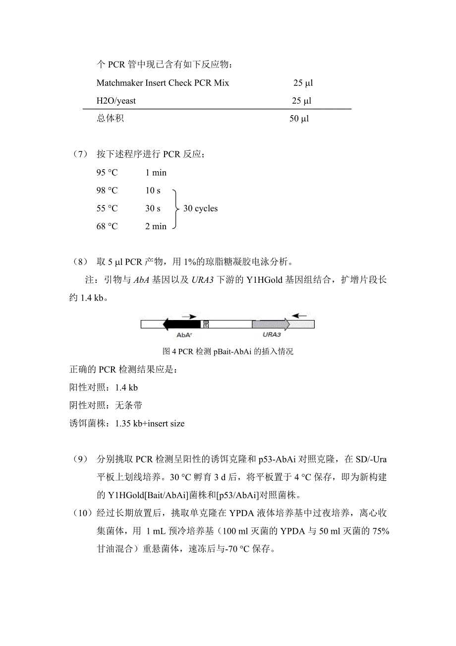 酵母单杂交-实验步骤总结(1)_第3页