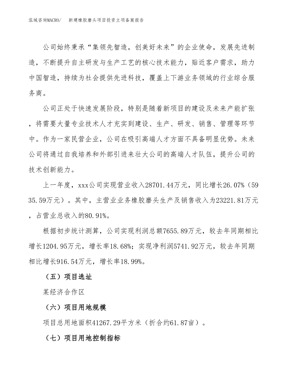 新建橡胶磨头项目投资立项备案报告(项目立项).docx_第2页