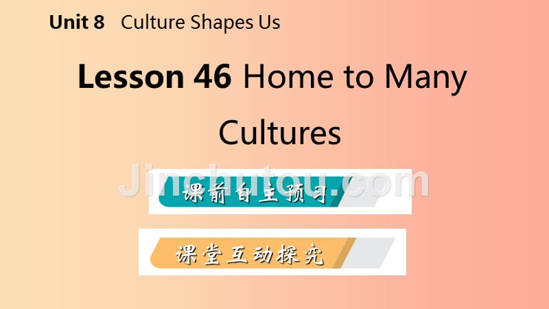 九年级英语下册unit8cultureshapesuslesson46hometomanycultures课件新版冀教版_第2页