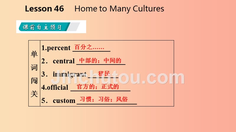 九年级英语下册unit8cultureshapesuslesson46hometomanycultures课件新版冀教版_第3页