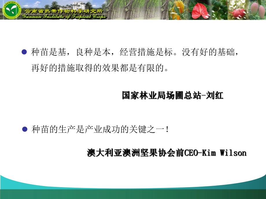 澳洲坚果丰产栽培技术培训班老师课件澳洲坚果的苗木培育_第2页