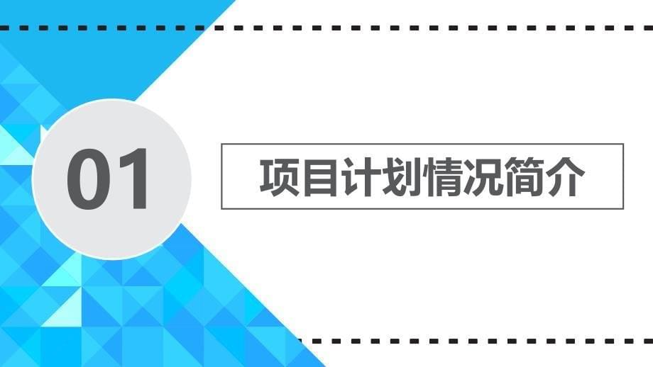 2016年商业项目计划书模板_第5页