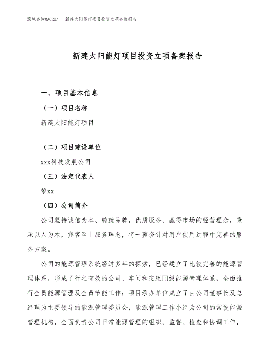 新建太阳能灯项目投资立项备案报告(项目立项).docx_第1页