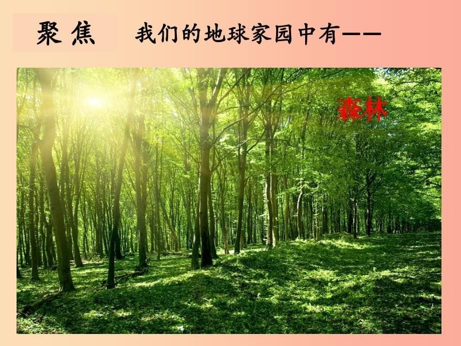 二年级科学上册1.1地球家园中有什么课件1教科版_第5页