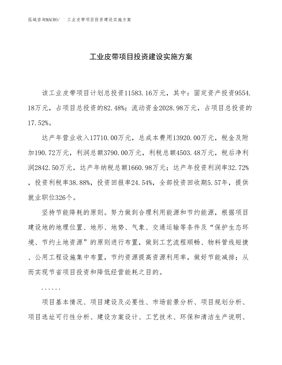 工业皮带项目投资建设实施方案.docx_第1页