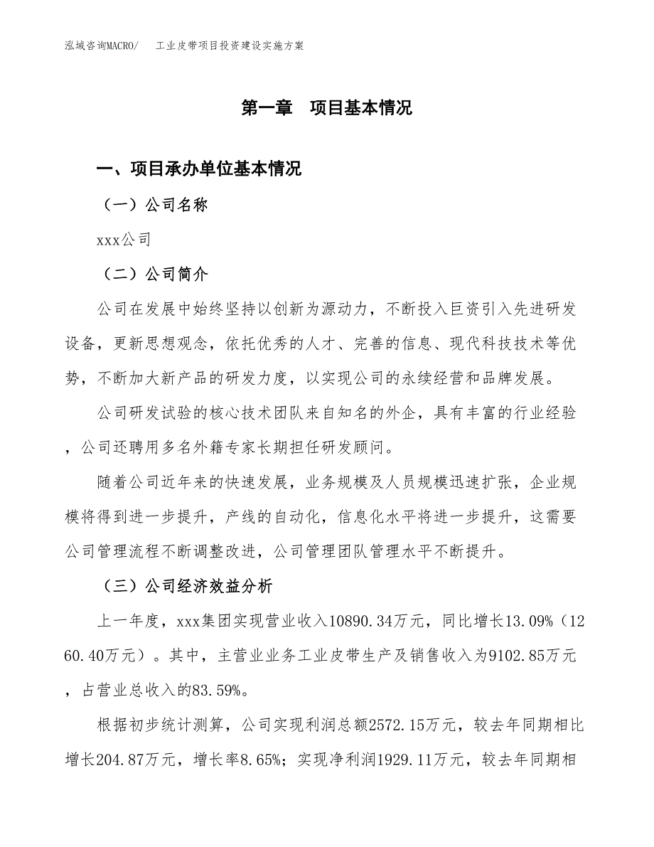 工业皮带项目投资建设实施方案.docx_第3页