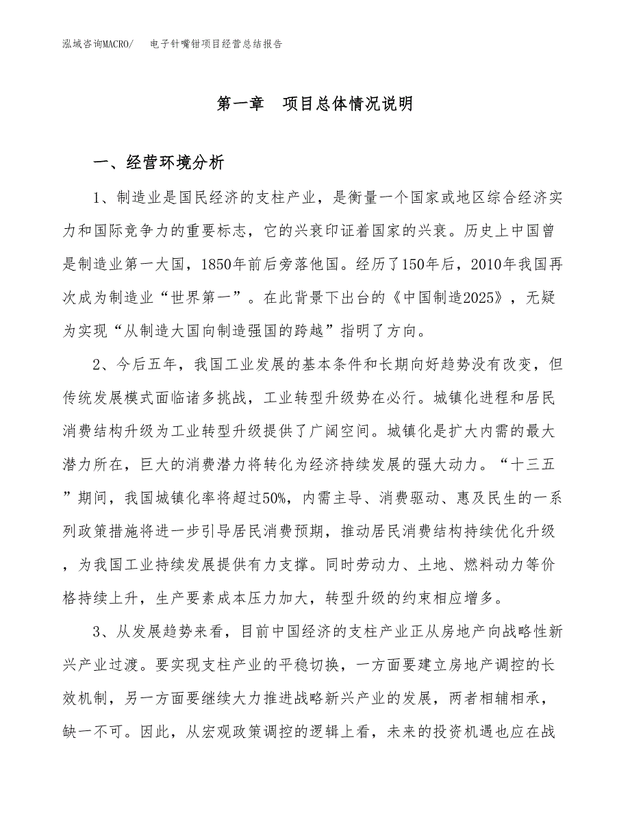 电子针嘴钳项目经营总结报告范文模板.docx_第2页