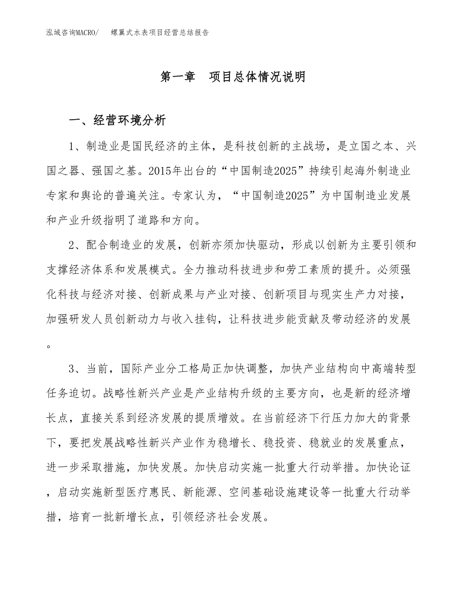 螺翼式水表项目经营总结报告范文模板.docx_第2页