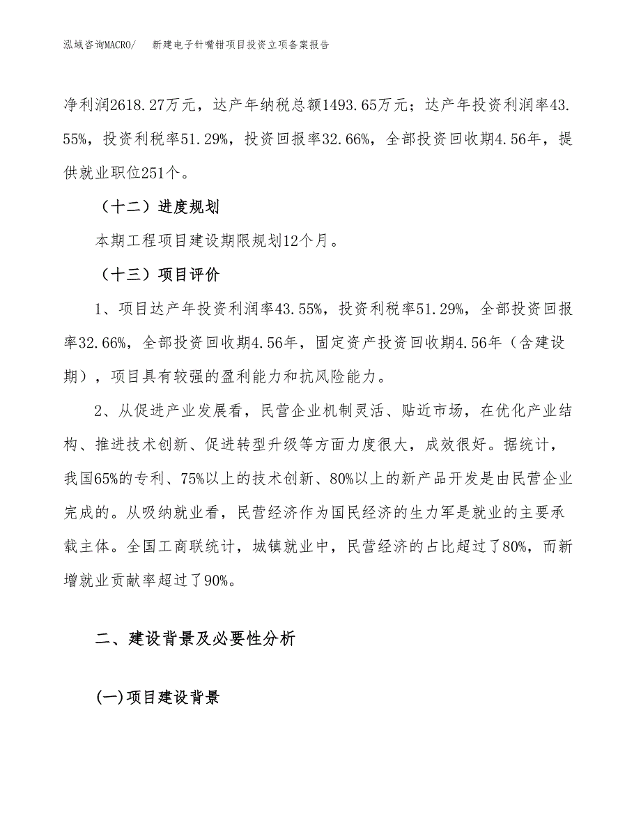 新建电子针嘴钳项目投资立项备案报告(项目立项).docx_第4页