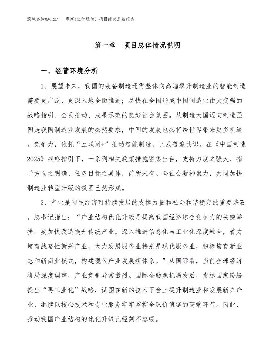 螺塞(止付螺丝）项目经营总结报告范文模板.docx_第2页