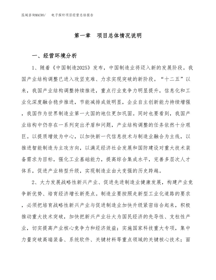 电子探针项目经营总结报告范文模板.docx_第2页