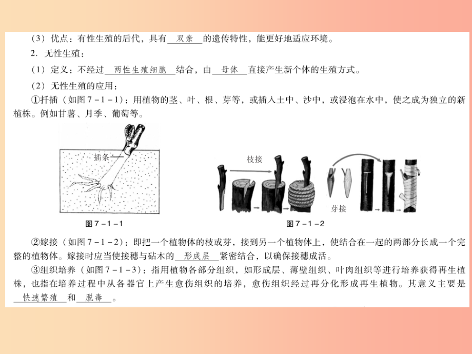 2019年中考生物总复习第七单元第一章生物的生殖和发育课件_第4页