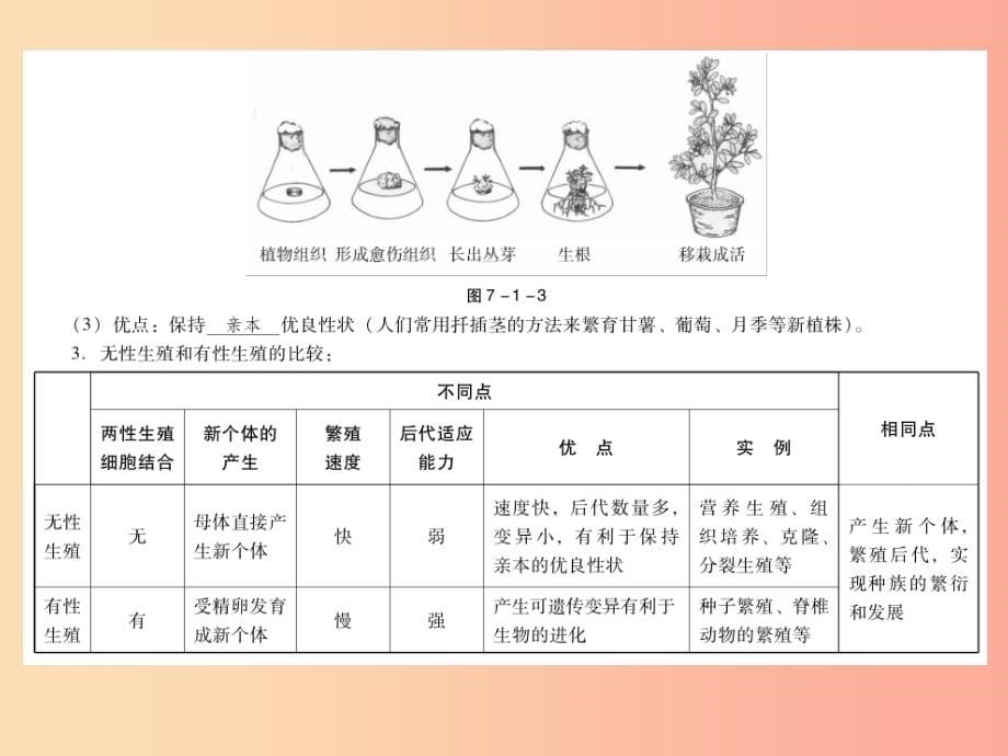 2019年中考生物总复习第七单元第一章生物的生殖和发育课件_第5页