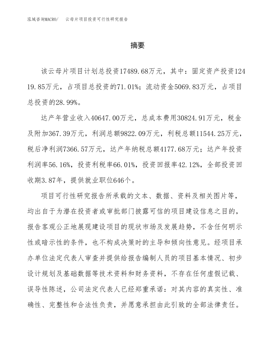 云母片项目投资可行性研究报告(立项备案模板).docx_第2页