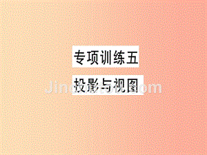 2019春九年级数学下册 专项训练五 投影与视图习题讲评课件（新版）北师大版