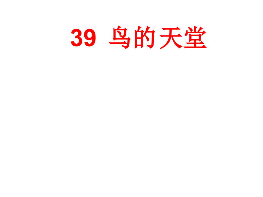 四年级上册语文课件- 39 鸟的天堂丨沪教 版_第1页