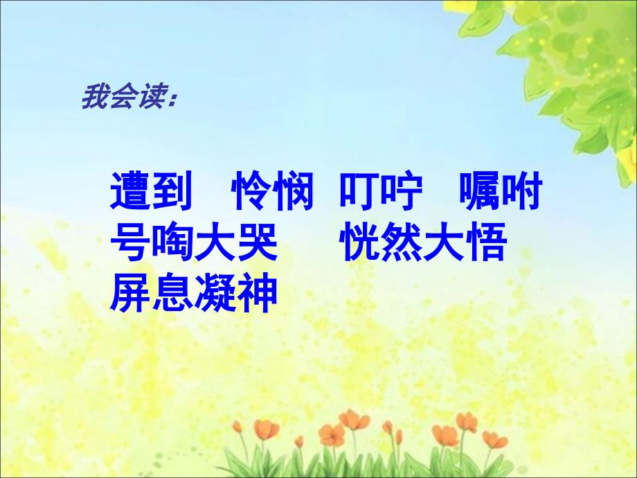 四年级上册语文ppt课件-6.23 卡罗纳 人教新课标_第3页