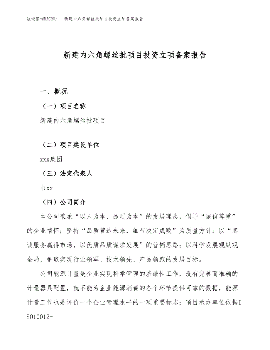 新建内六角螺丝批项目投资立项备案报告(项目立项).docx_第1页