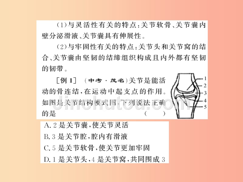 2019年八年级生物上册 第五单元 第2-3章自主复习习题课件新人教版_第4页