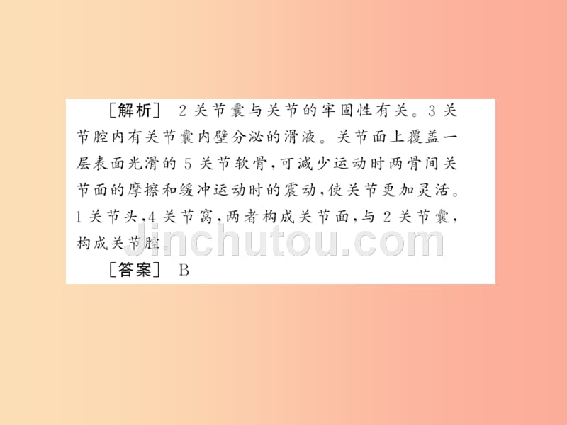 2019年八年级生物上册 第五单元 第2-3章自主复习习题课件新人教版_第5页