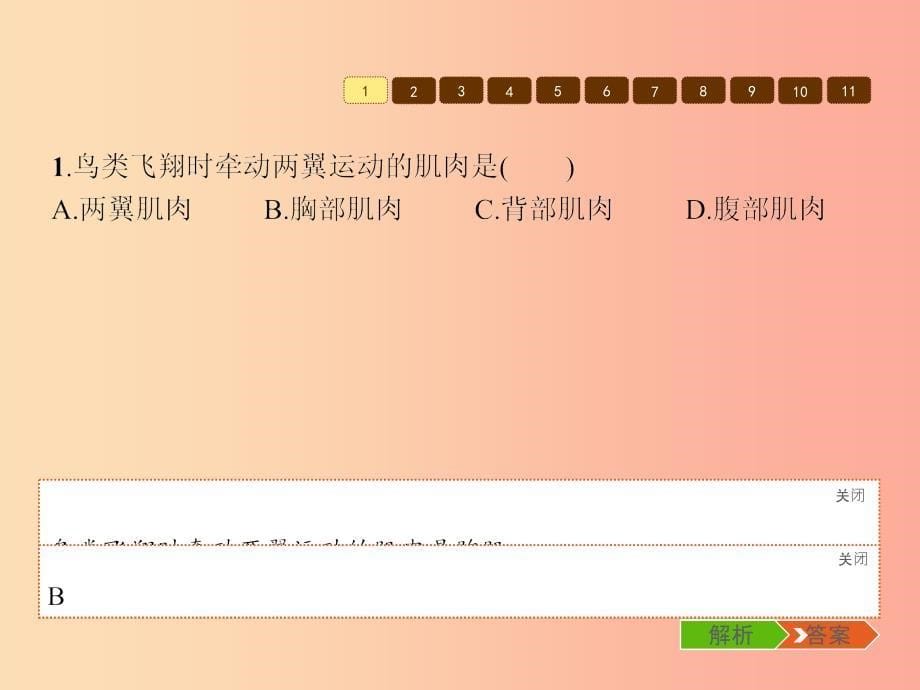 七年级生物上册2.2.2脊椎动物的主要类群第3课时鸟类和哺乳类课件新版济南版_第5页