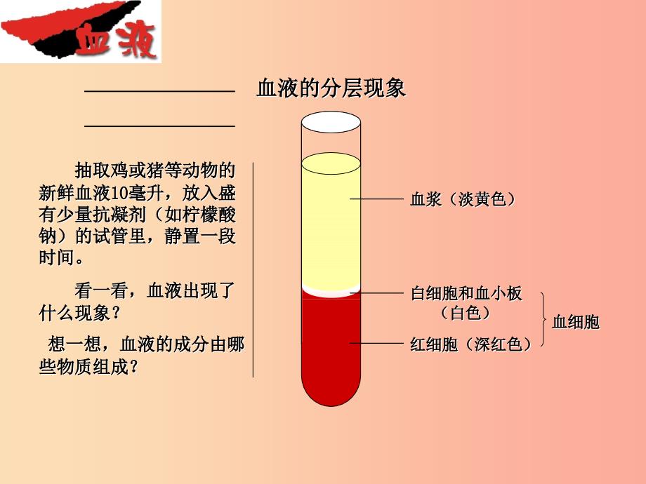 吉林省七年级生物下册4.4.1流动的组织___血液课件 新人教版_第4页