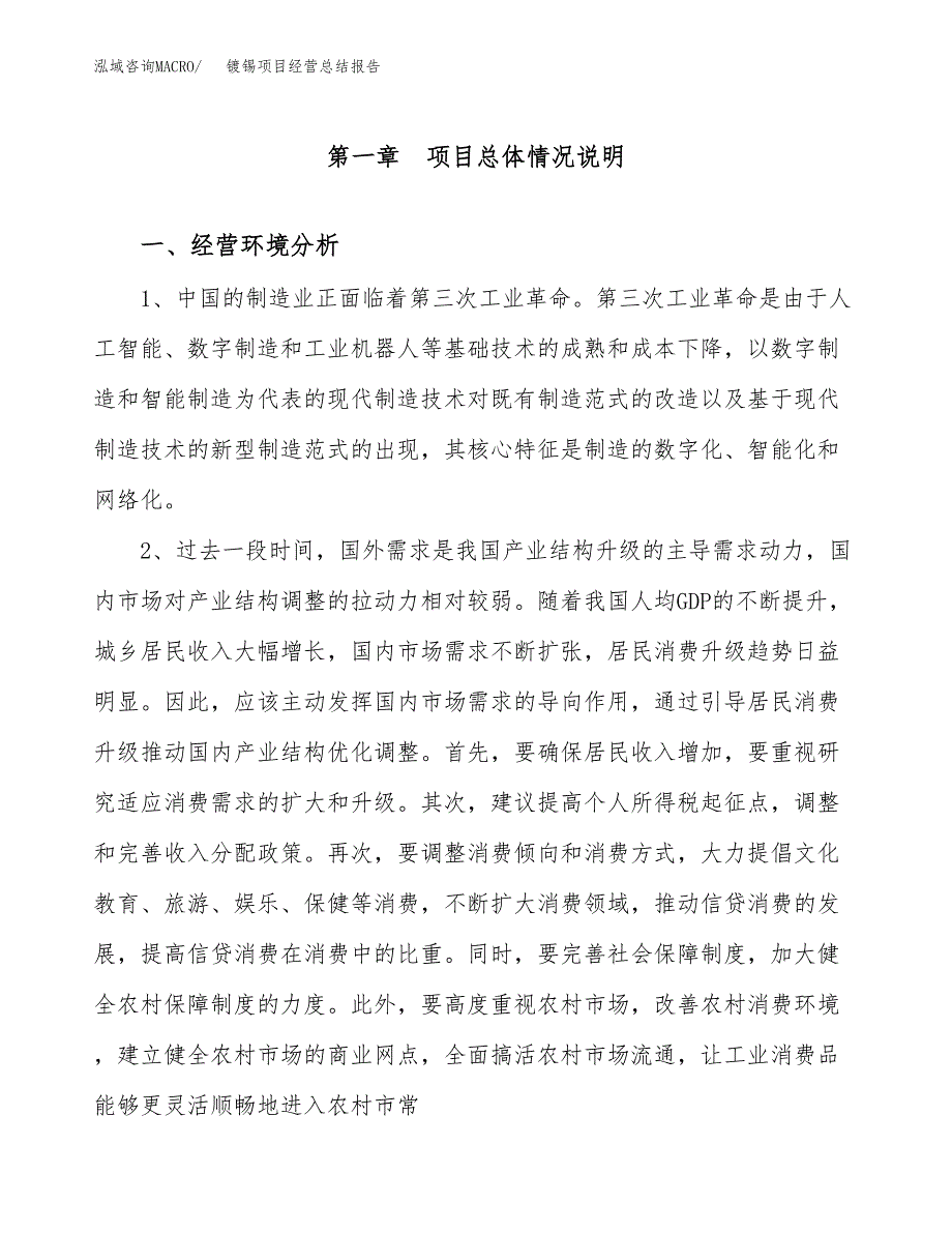 镀锡项目经营总结报告范文模板.docx_第2页