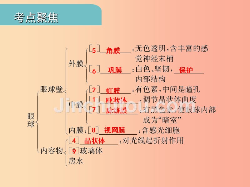 中考江西专用2019中考生物五四人体通过神经系统和内分泌系统调节生命活动习题课件_第3页