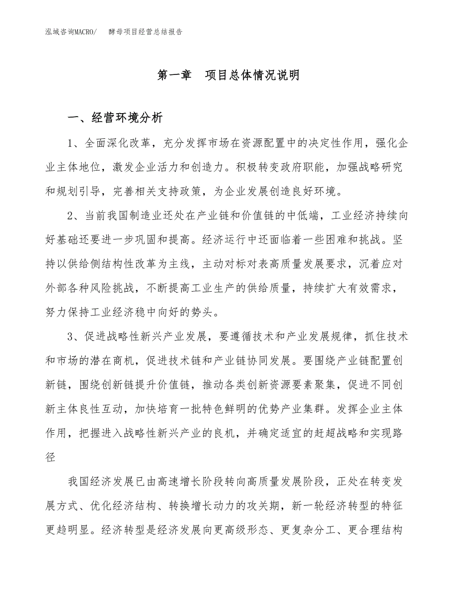 酵母项目经营总结报告范文模板.docx_第2页