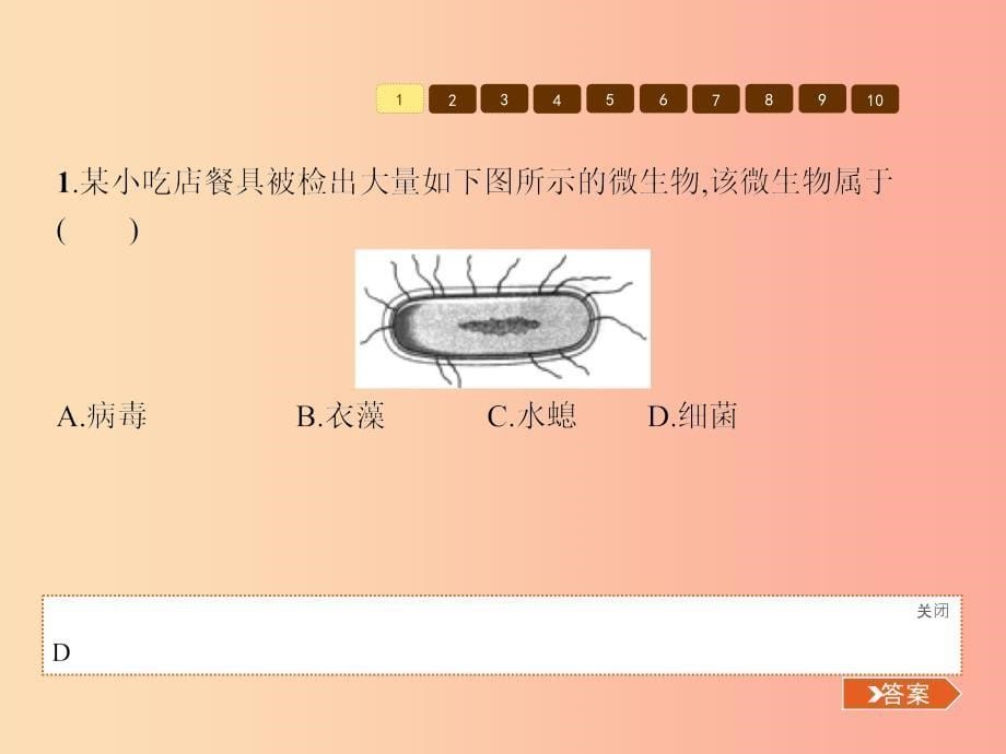 七年级生物上册2.3.2细菌课件 新版 济南版_第5页