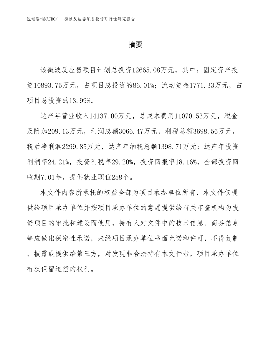 微波反应器项目投资可行性研究报告(立项备案模板).docx_第2页