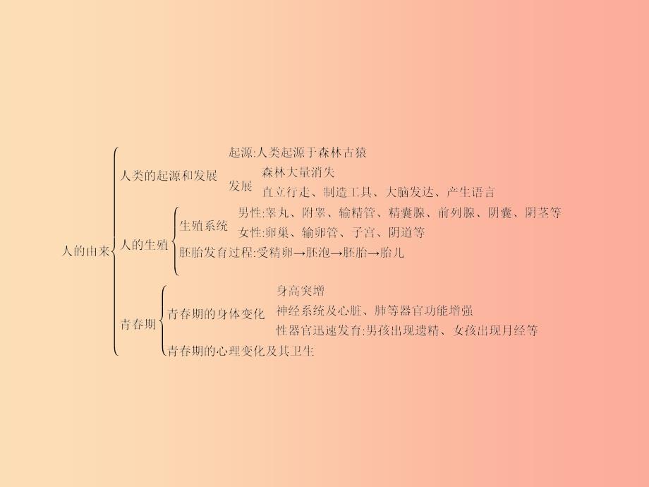 福建专版2019春七年级生物下册第四单元生物圈中的人第一章人的由来整合课件 新人教版_第2页