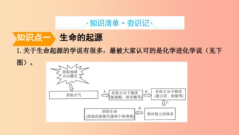 山东省2019年中考生物主题复习十六生命的演化课件济南版_第2页