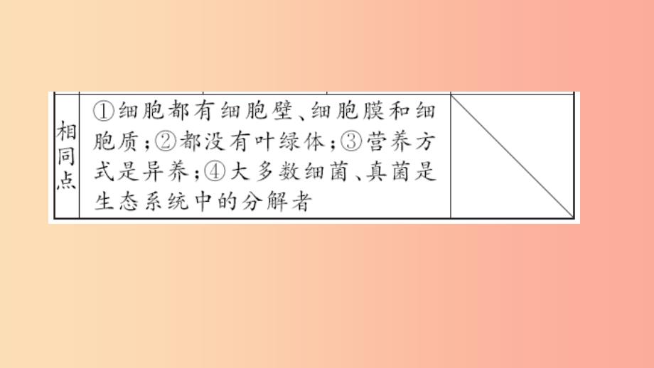 八年级生物上册第五单元生物圈中的其他生物复习三（第四_五章）习题课件 新人教版_第3页