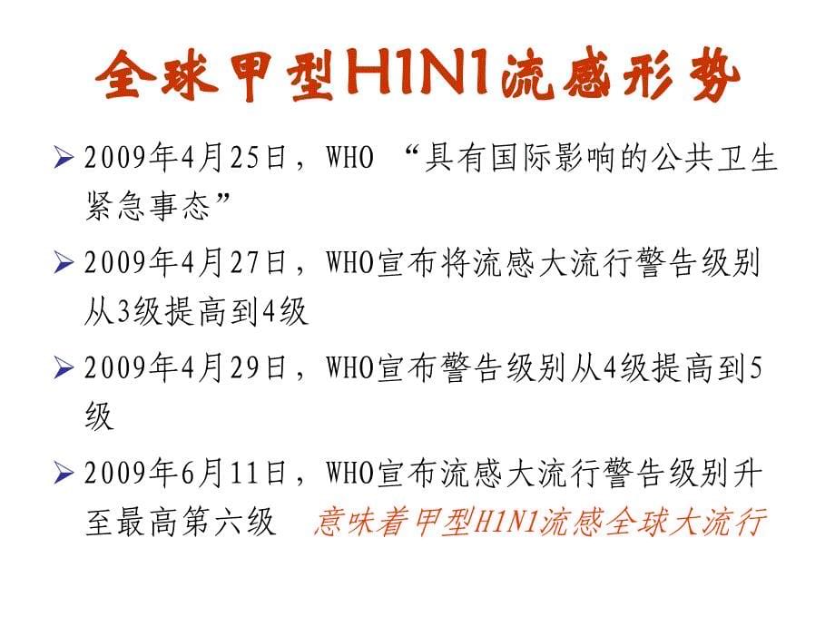 小学生健康教育班会课件甲型H1N1流感防控_第5页